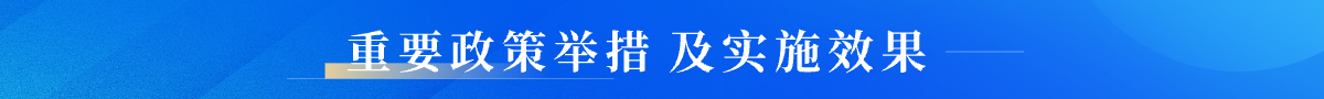 重要政策舉措及實施效果